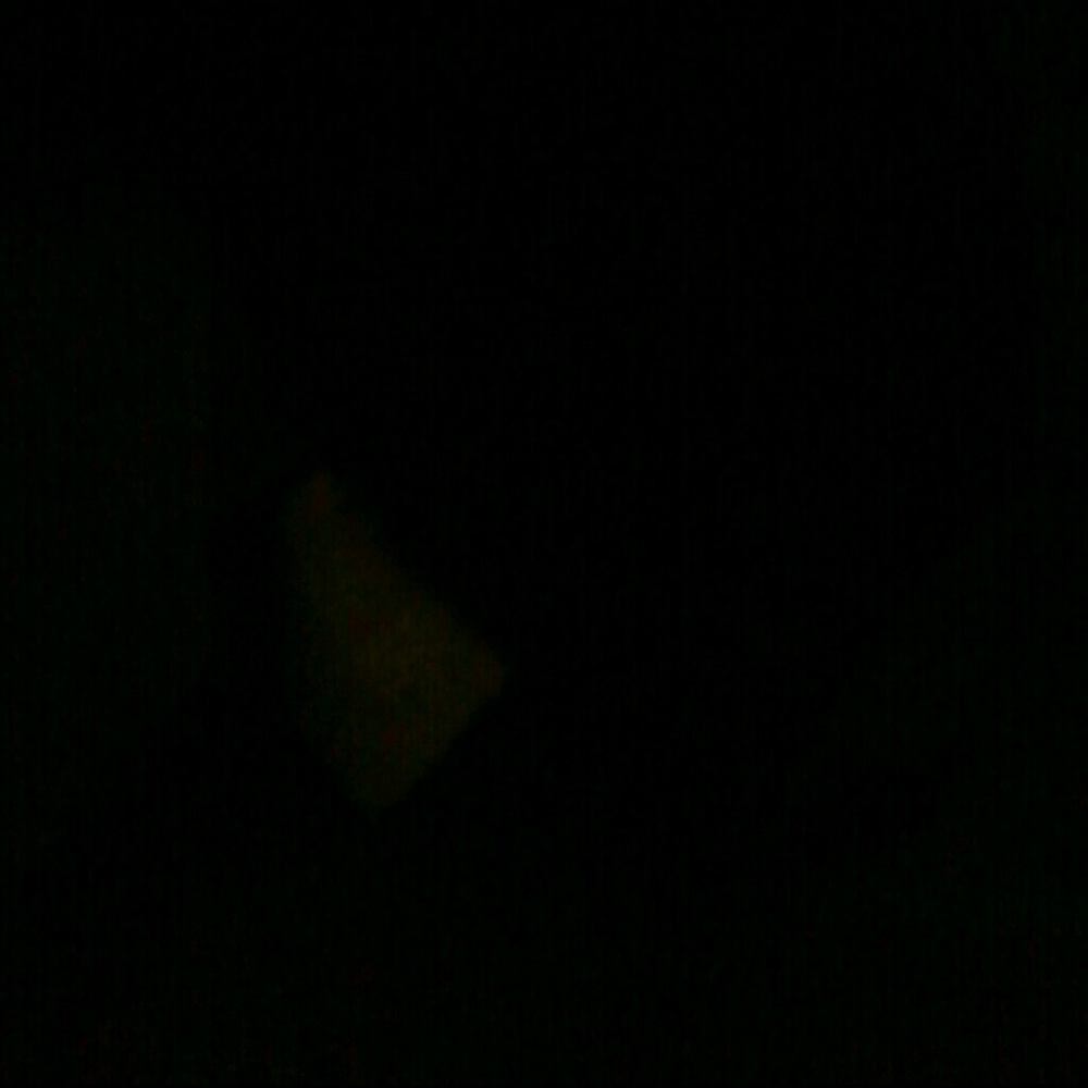 Meet your Posher, Lareina